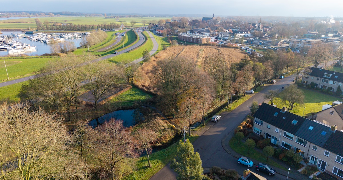 Hattem wil doorpakken: 49 bomen tegen de vlakte, ondanks onzekere bouwplannen
