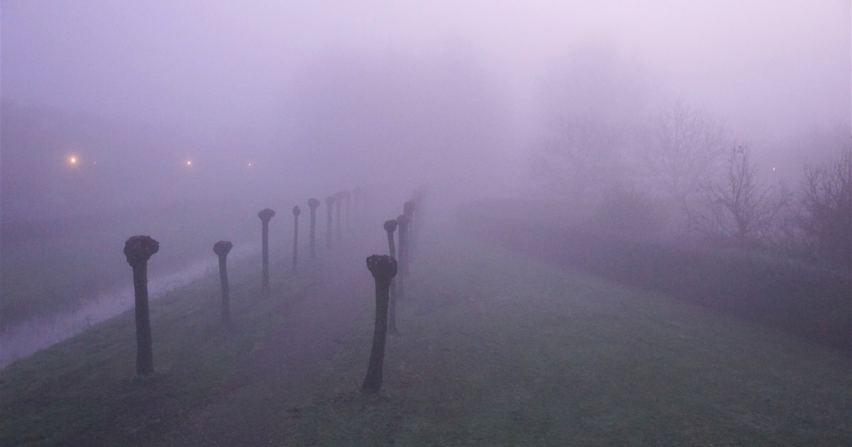 Mist of mistflarden in Noordoostpolder in de avond