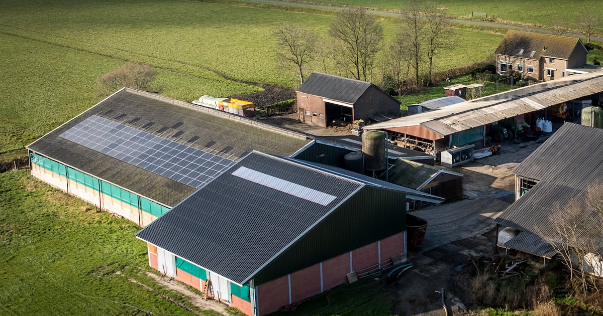 Natuurvereniging vecht uitbreiding van koeienstal aan in rechtbank, maar uitbreiding blijkt al klaar
