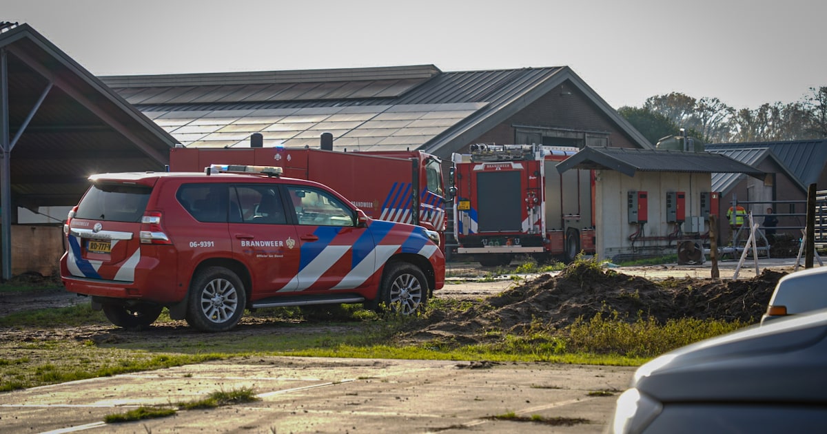 Tractor vat vlam in stal in Lochem vol koeien en geiten