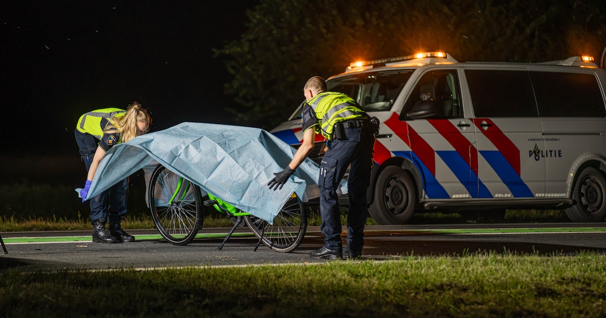 Chauffeur bestelbus meldt zich na dodelijk ongeluk met ‘spookfietser’ in Biddinghuizen