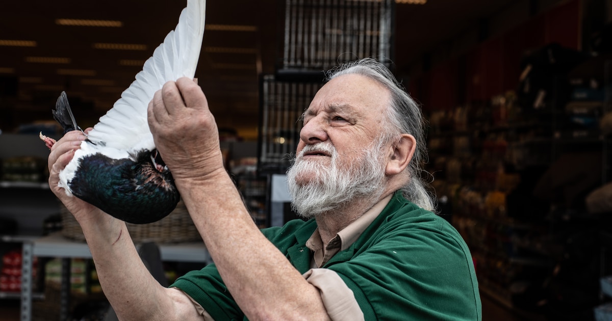 Duizendpoot Sjef Reichgelt had hart voor Groesbekers en de natuur