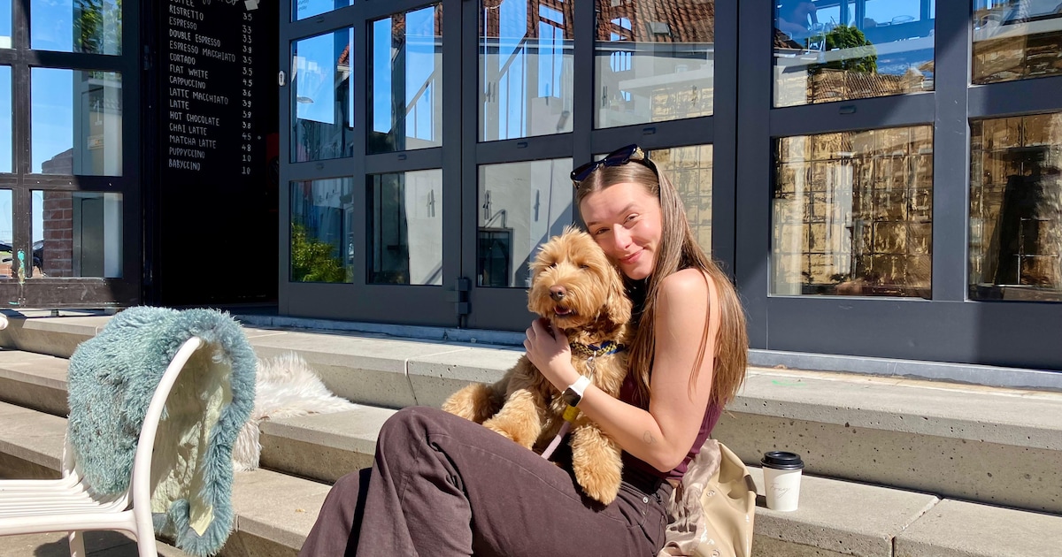 Fluffy ontmoetingen in Nijmegen: Demi loopt met soms wel 30 labradoodles langs de Waal