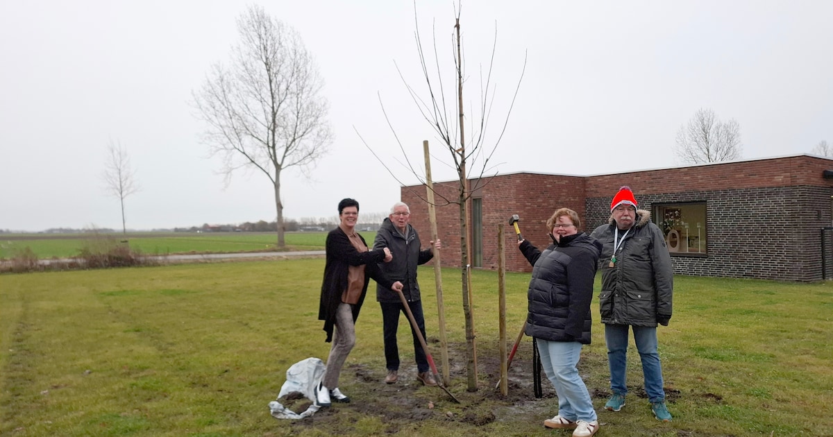Gelijk-Stroom brengt groen naar ’s Heeren Loo op Urk