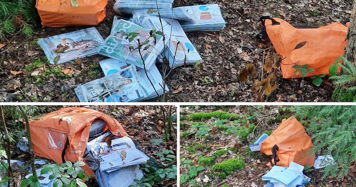 Zes zakken vol post aangetroffen in het bos: de vinder stuit op een verrassing