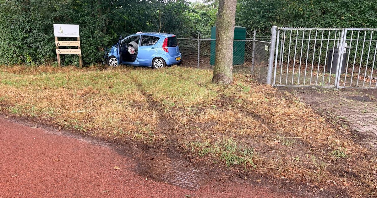 Automobilist verliest controle, auto knalt tegen boom in Beerze