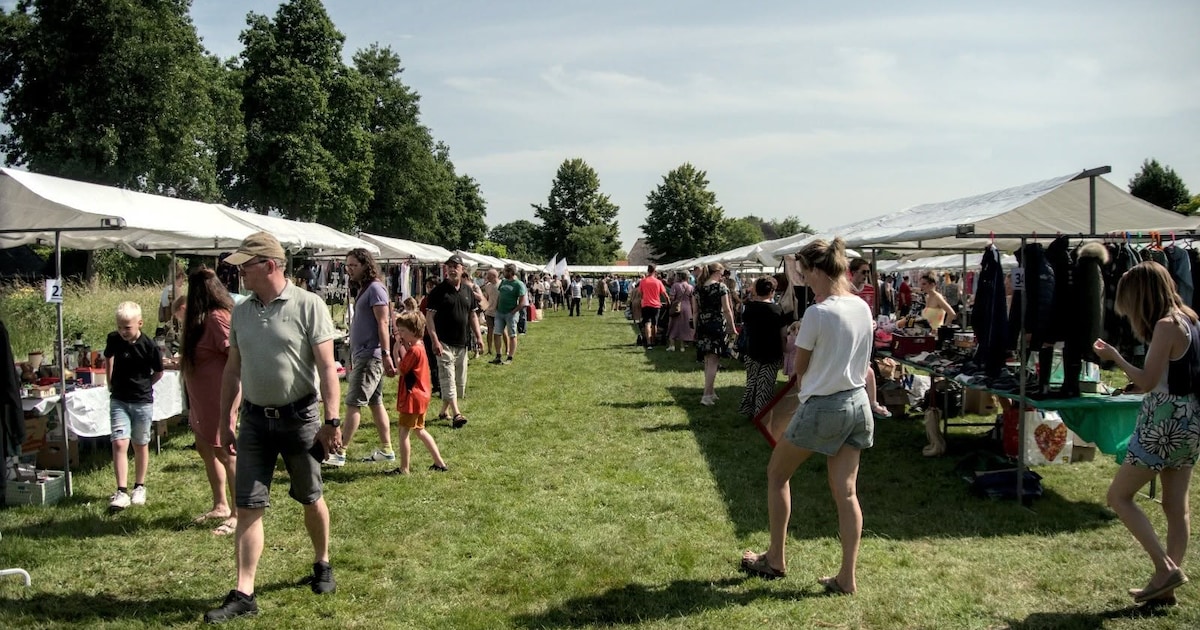 Snuffelmarkt op veld bij de Turfhorst in Wezep