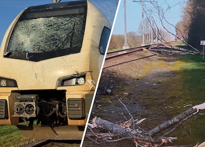 Boom op spoor zorgt voor ravage bij Mariënheem: grote schade aan trein