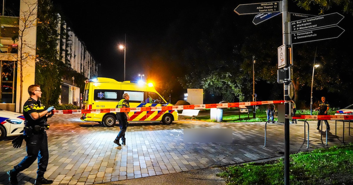 Ernstig gewonde bij steekincident op Raadhuisplein in Emmen