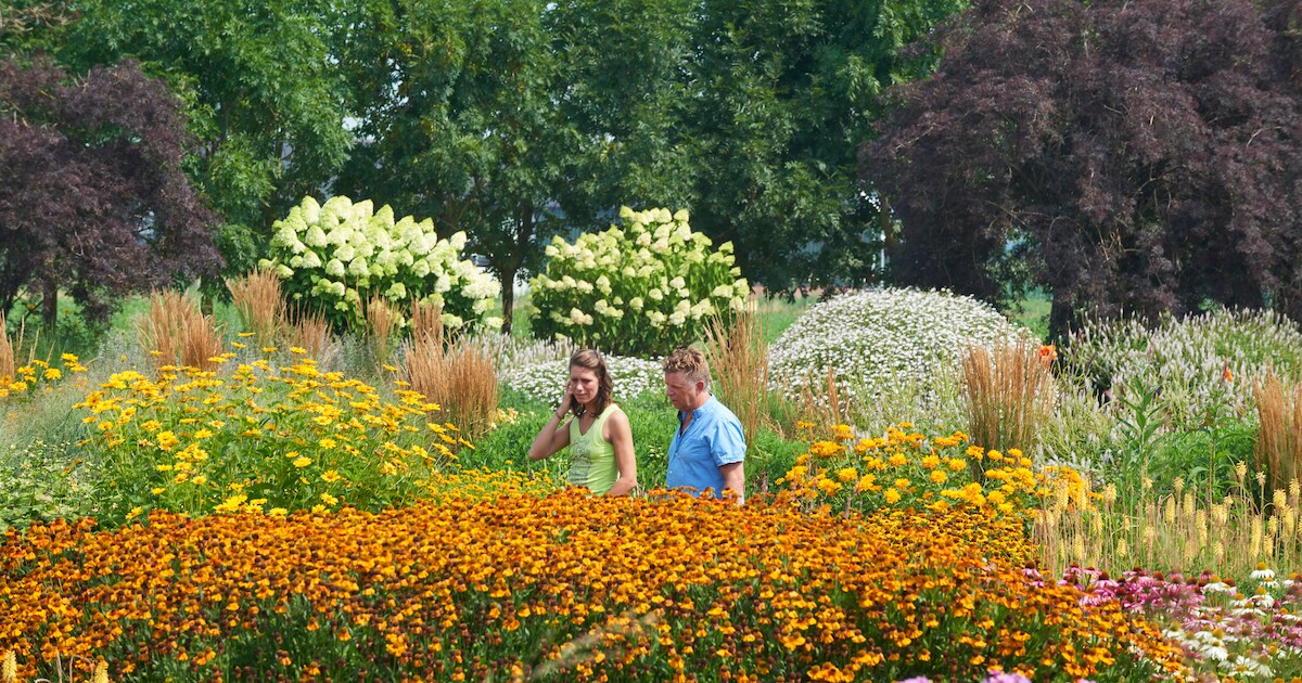 Sous-Terre Art Fair in Bloemenpark Appeltern