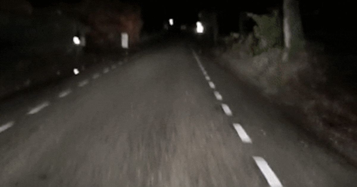 Pas op! Dieren kennen geen zomertijd en dus is het opletten geblazen voor automobilisten