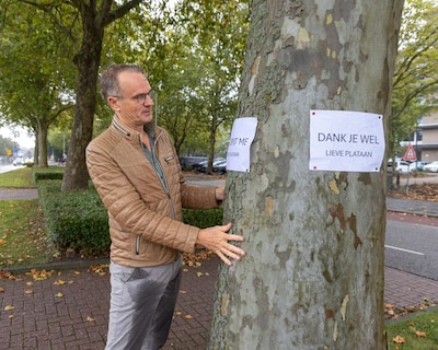 Wim ziet 49 bomen verdwijnen voor parkeerplaats, maar wint iets wat nog tientallen jaren blijft