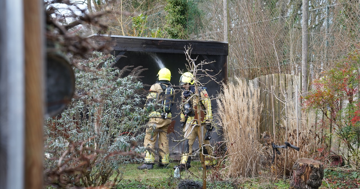 Konijnen weggehaald bij brandende overkapping in Schalkhaar: dieren mogelijk gewond