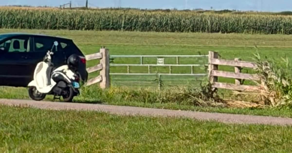 Drie vrouwen slachtoffer van handtastelijke scooterrijder in Genemuiden