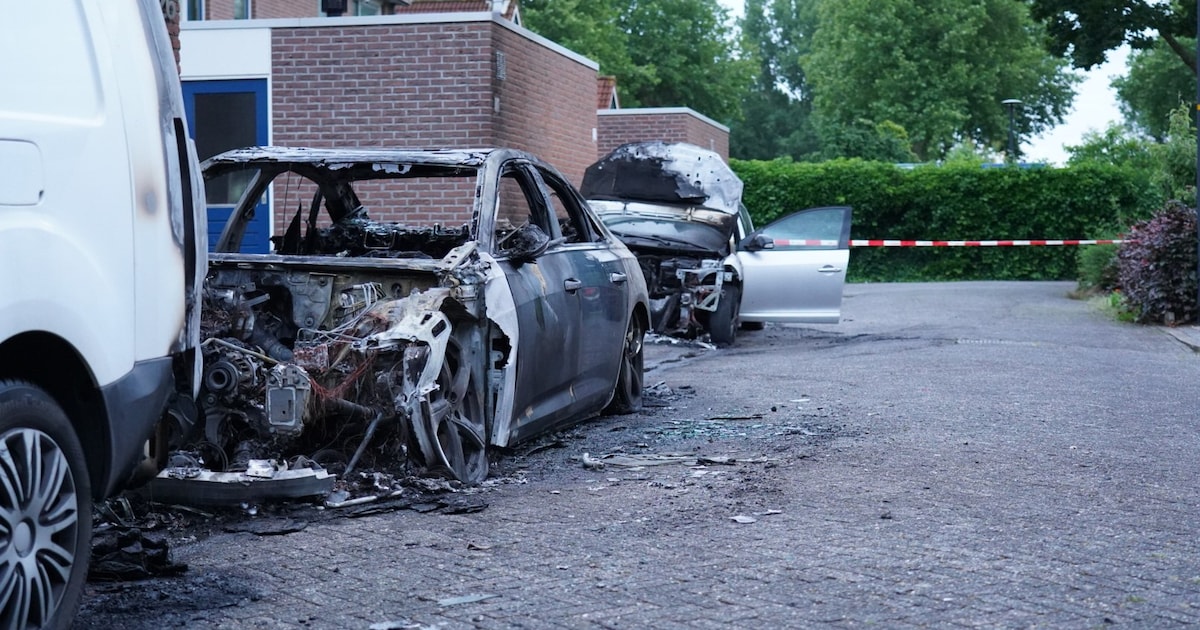 Flinke schade aan meerdere auto’s door brand in Dronten, politie denkt aan opzet
