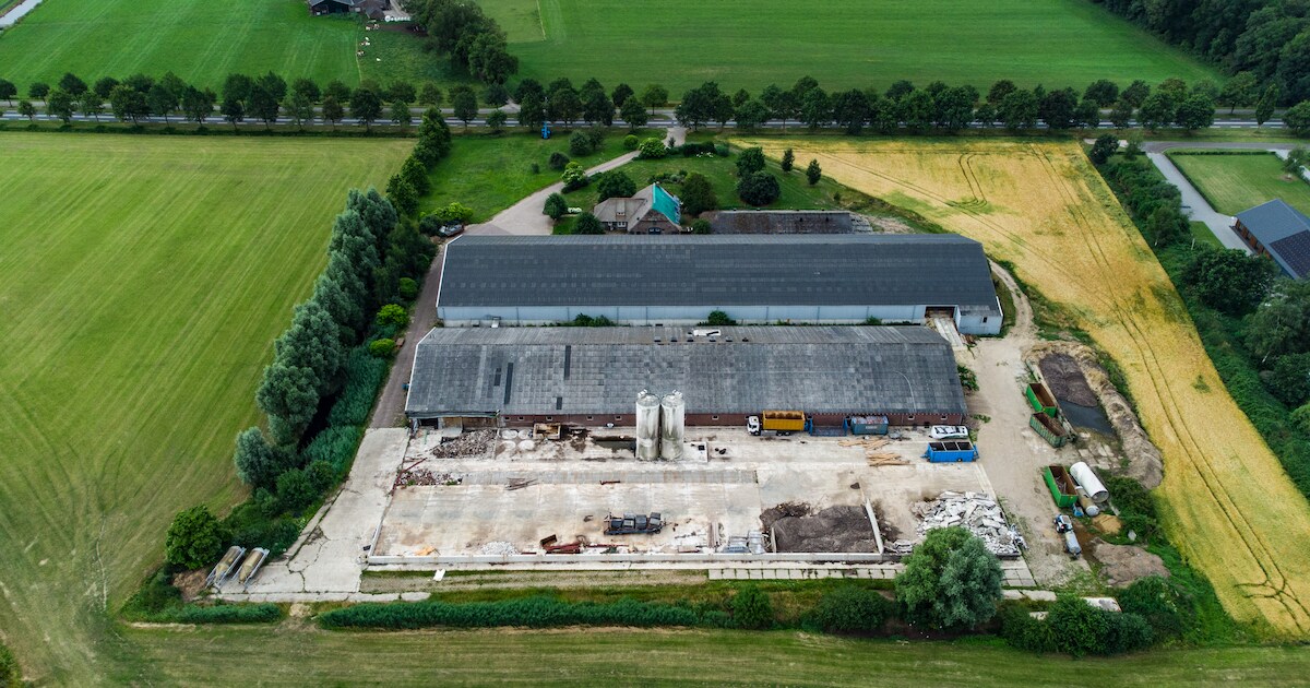 Van grote vrees naar de sloopkogel: dit maakte de komst van varkensbaron Straathof los in Mariënheem