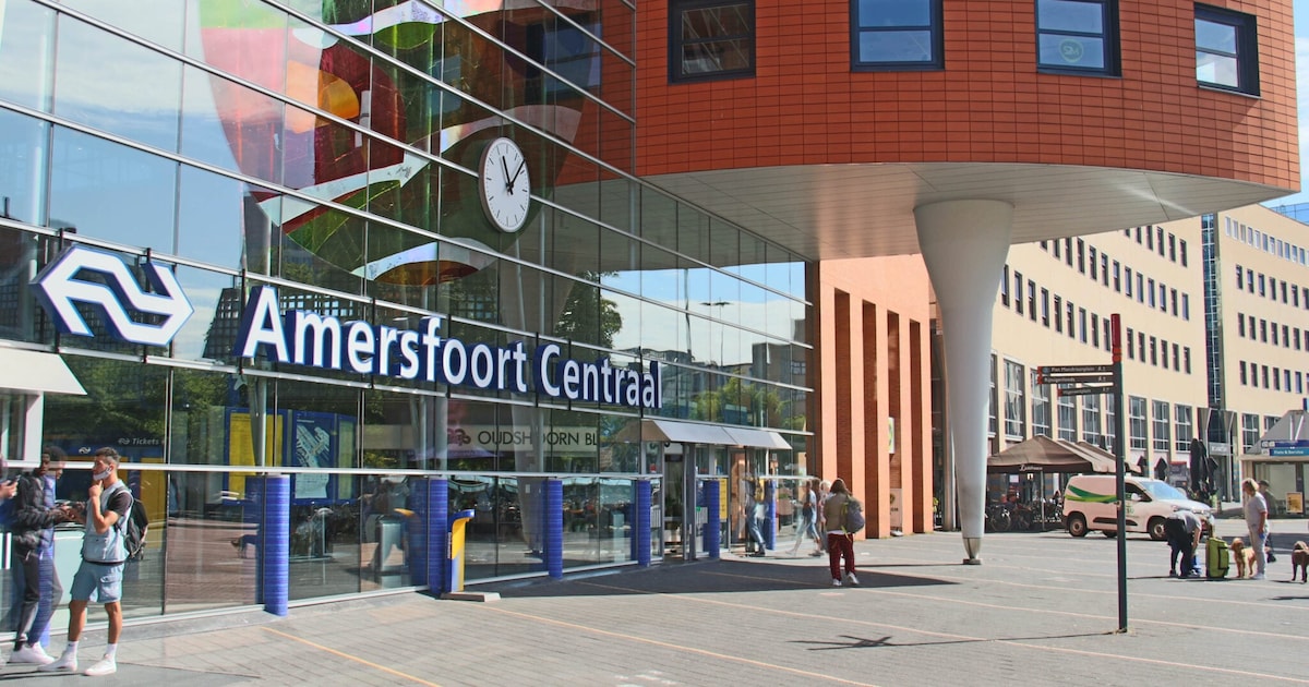 Ho-ho-hopen dat je op tijd komt: dit is de aangepaste NS-dienstregeling tijdens de feestdagen