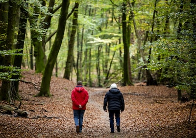 Wandelaars trekken opnieuw de natuur in tijdens Balkenbrijtocht in Vilsteren