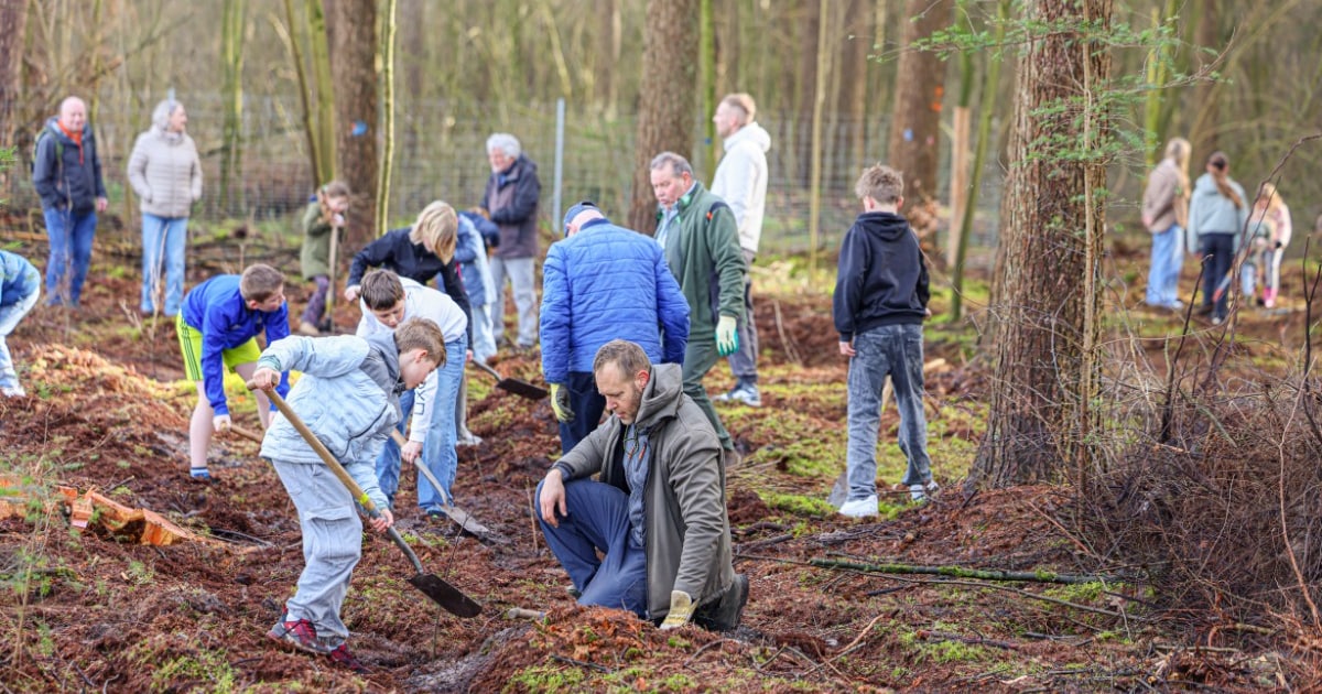 Ommen is dankzij inzet van scholieren duizend (inheemse) bomen rijker