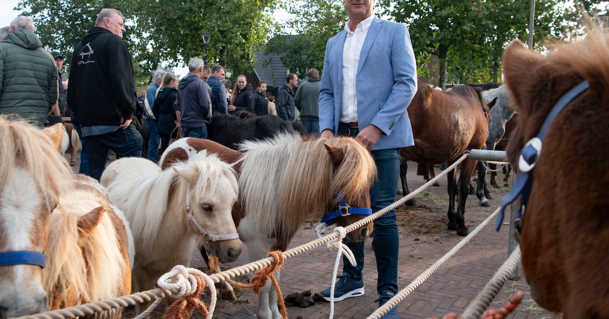Heeten houdt rekening met definitief scheiden van de markt: ‘Ook zonder pony’s kan feest blijven bes