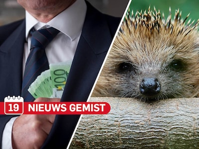 Gemist? Ex-minister op Sint Maarten en Twents bouwbedrijf verwikkeld in miljoenenfraude & dronken eg