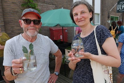‘Zo is opa een beetje bij ons’: allerlei redenen om een stekje van deze beroemde plant te willen