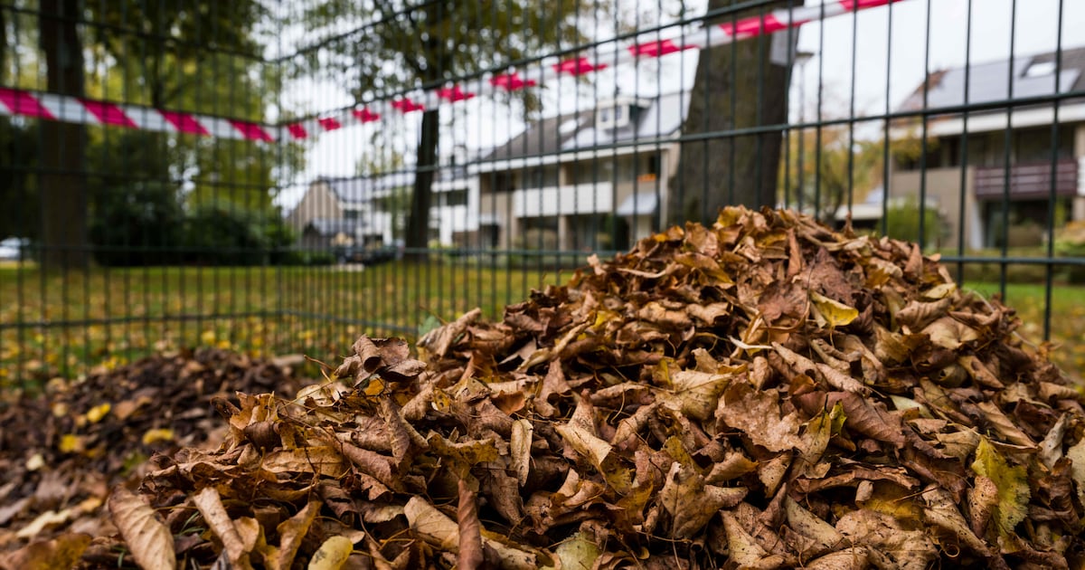 Ermelo voorziet groot deel van gemeente weer van openbare bladkorven