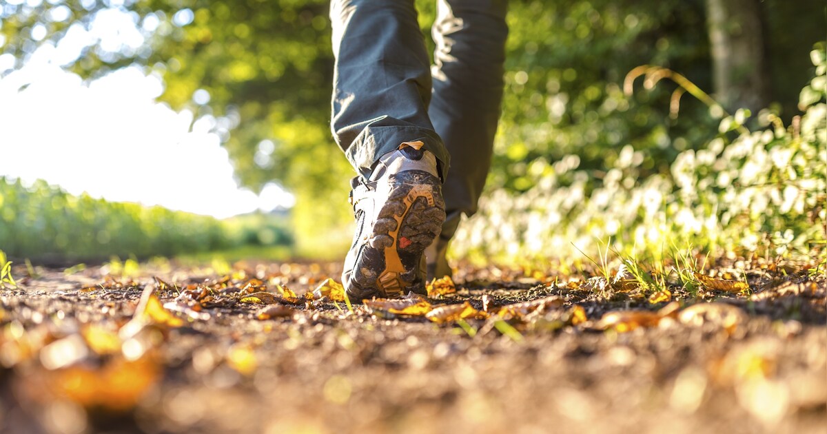 Wandelen en puzzelen bij Landhoeve Zwieseborg in Loozen