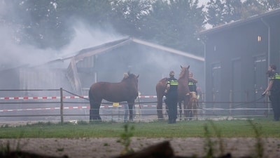Zorgboerderij jarenlang geteisterd door brandstichtingen: cliënt (35) krijgt tbs