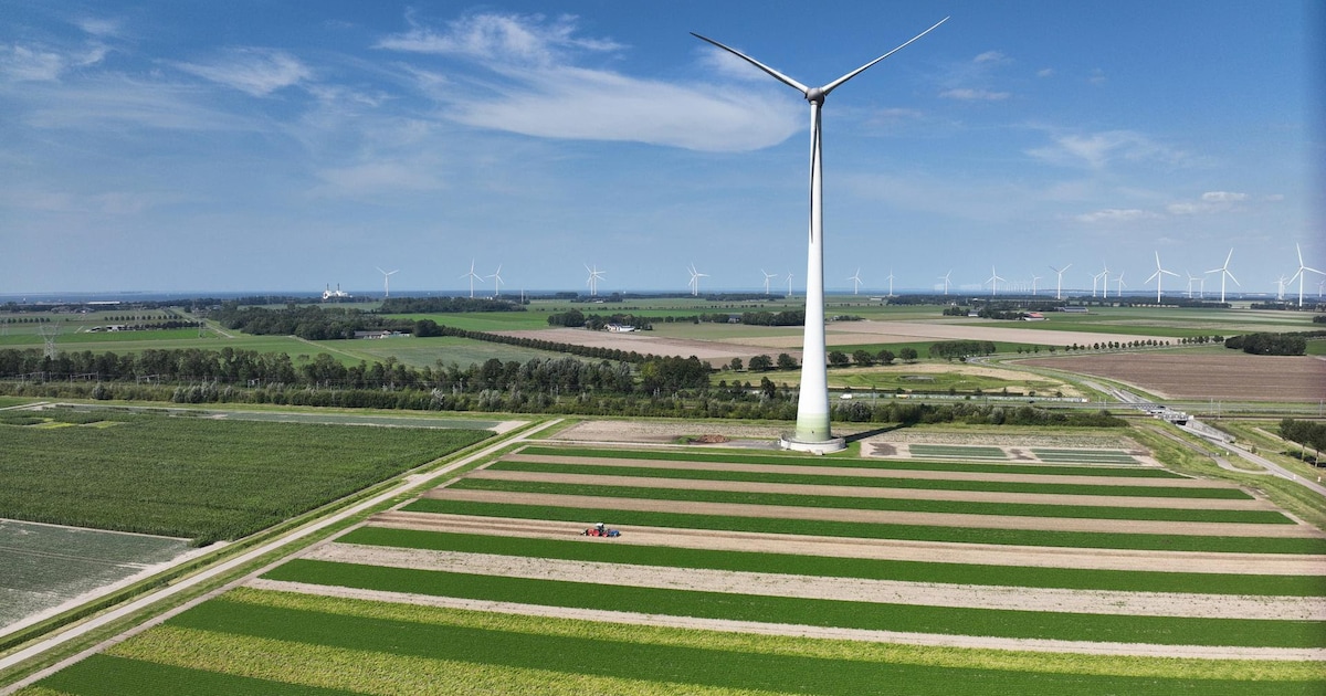 Tegenslag voor ‘Boerderij van de Toekomst’: onderzoek stopt vanwege geldgebrek