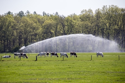 Boeren houden vrij spel om grondwater op te pompen na afgezwakte plannen van Vechtstromen