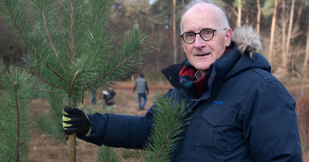 Deze kerstboom kost maar een tientje, maar levert de natuur een fortuin op: ‘Blijft een geweldig stu