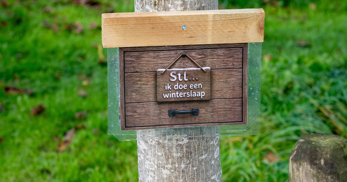 Vrijwilligers zetten opnieuw gezinsspeurtocht uit door Torenbosje in Dronten