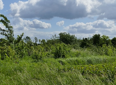 Excursie naar Bioboerderij Klein Broekhuizen vanuit Doetinchem