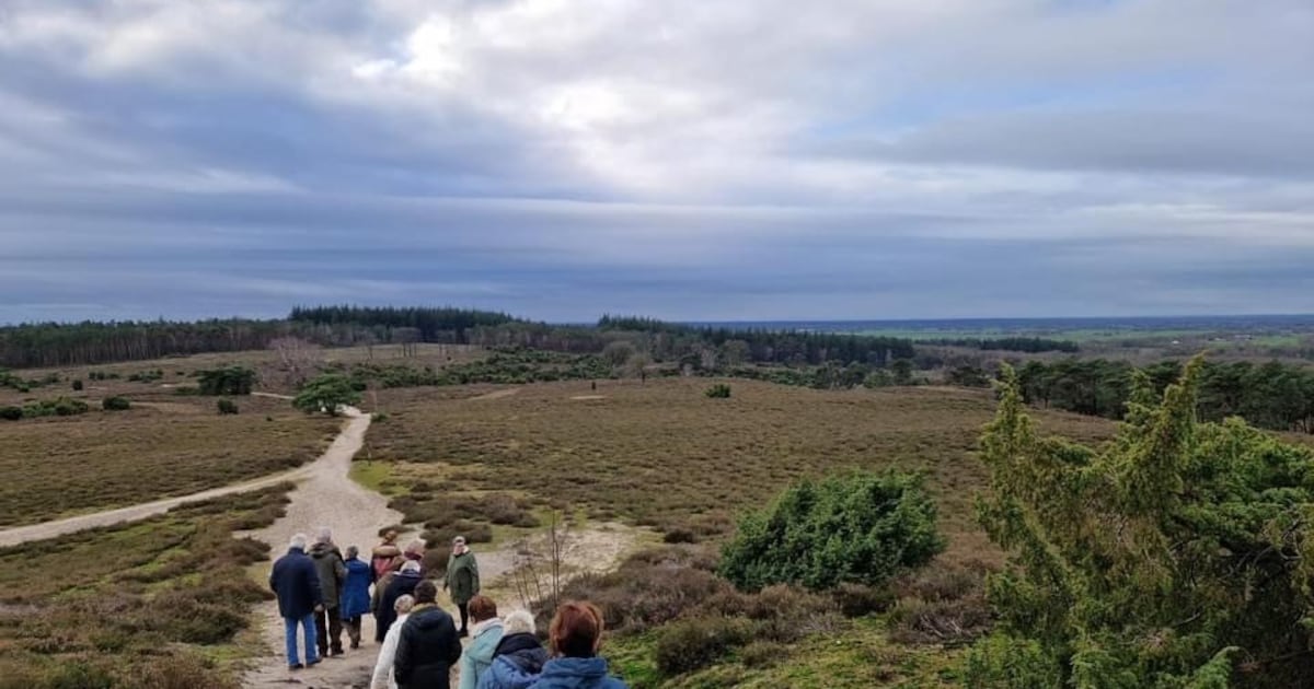 Valentijnsdagwandeling voor singles in Lemele