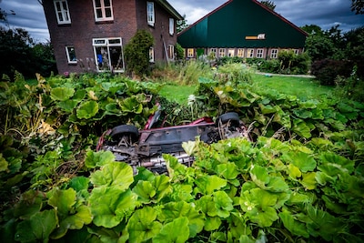Auto belandt op de kop in greppel, vlak voor woning en tussen de planten: ‘Alsof je naar een gekke f