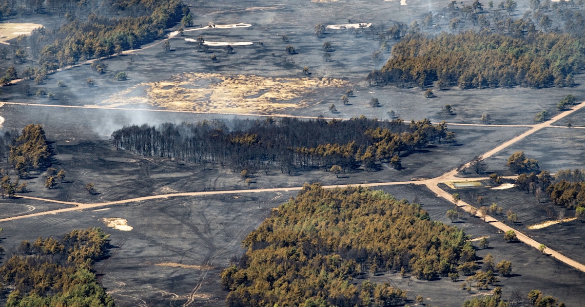 LIVE | Deel van grote natuurbrand op de Veluwe onder controle • Rook bereikt ook Engeland