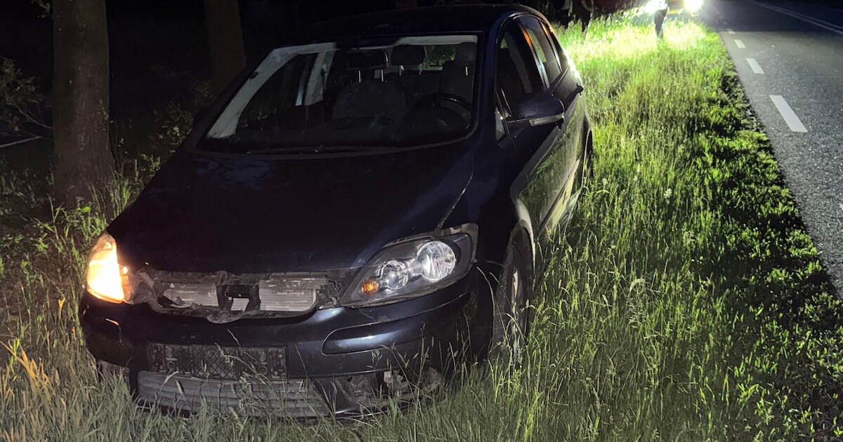 Auto flink beschadigd na botsing met overstekende ree op de N332 bij Holten