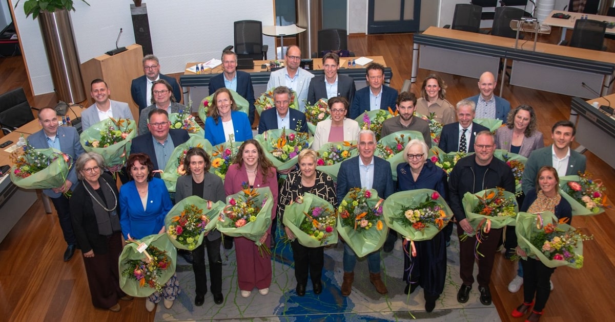 Nieuwe partij in raad Hof van Twente: GroenLinks-PvdA gaat verder als Progressief In Beweging