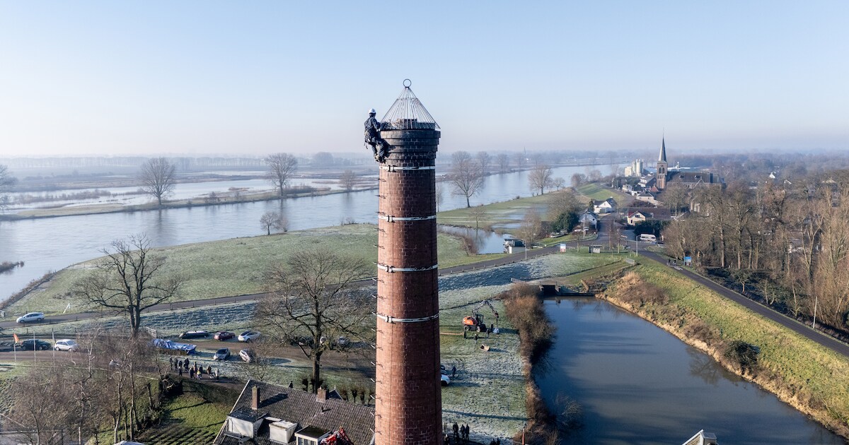 Spanning en slapeloze nachten: zal de anti-ooievaarstruc bij De Tuut werken?