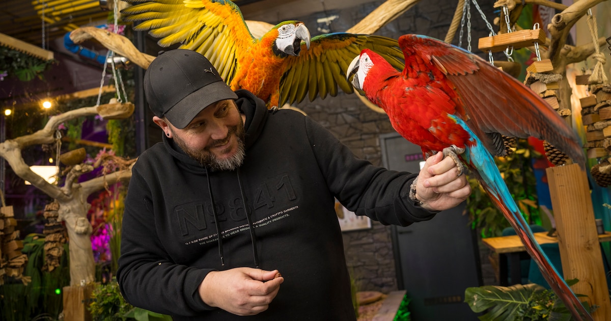 Even geen gekleurde vogels voeren bij dit lunchrestaurant op de Veluwe: zaak neemt maatregelen tegen