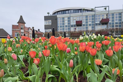 Zo ziet een penthouse aan de Koornmarkt in hartje Almelo eruit
