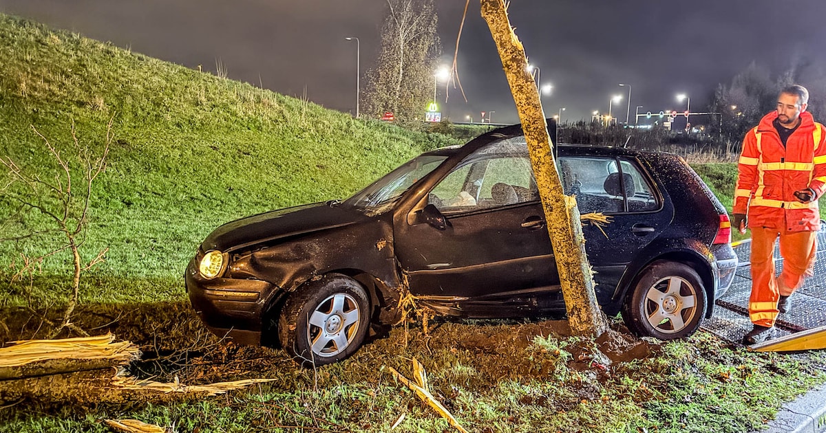 Auto botst tegen boom in Amersfoort, boom breekt door tweeën