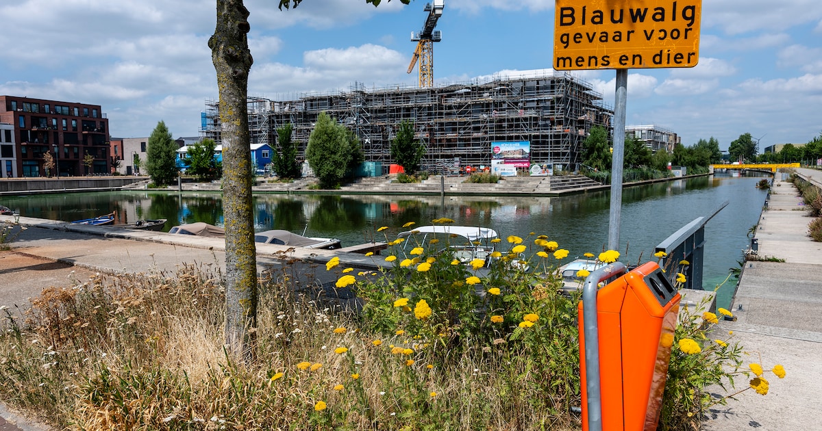 Negatief zwemadvies voor Laakse Strand in Zeewolde