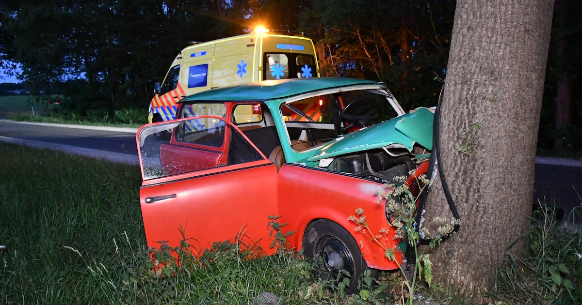 Auto botst tegen boom in Daarle