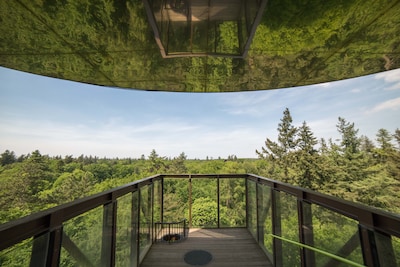 Gids neemt wandelaars mee over Landgoed Schovenhorst bij Putten