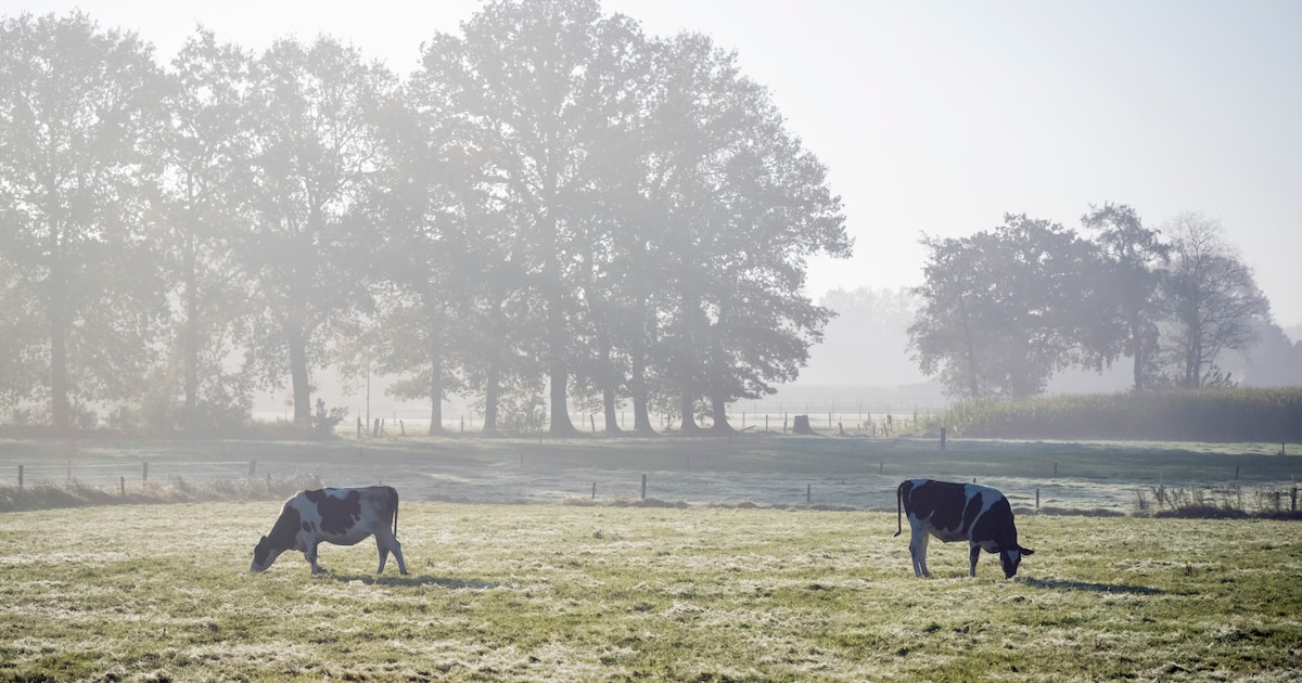 Informatiemarkt in Elspeet over voortgang van regionaal gebiedsplan