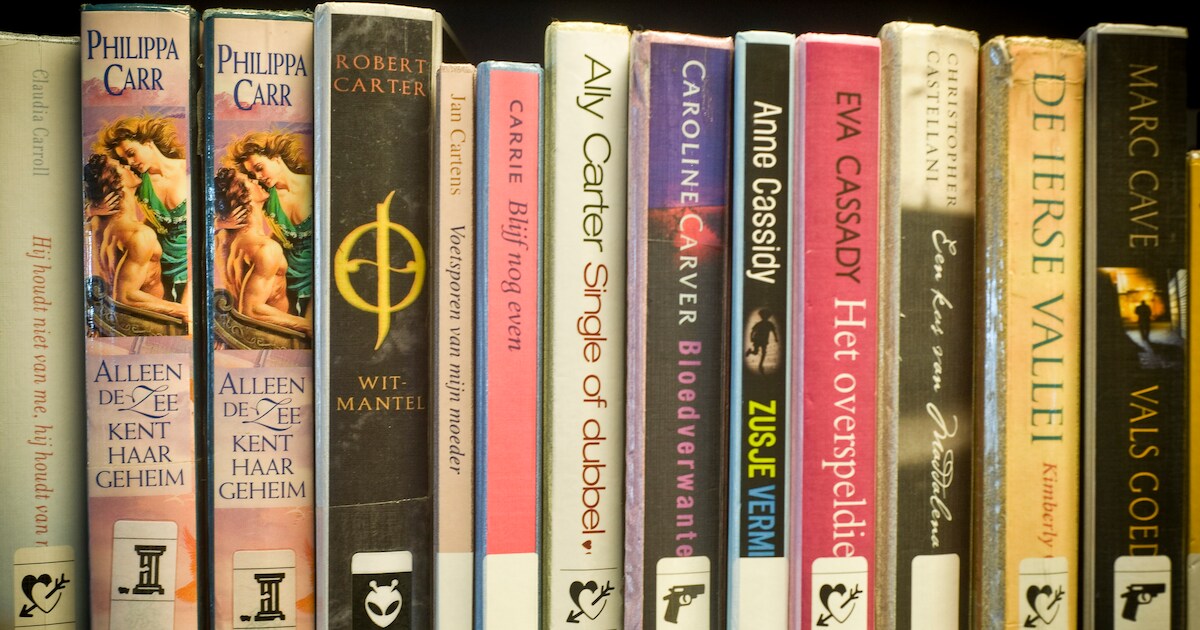 Bibliotheek slankt af in Lettele en Okkenbroek