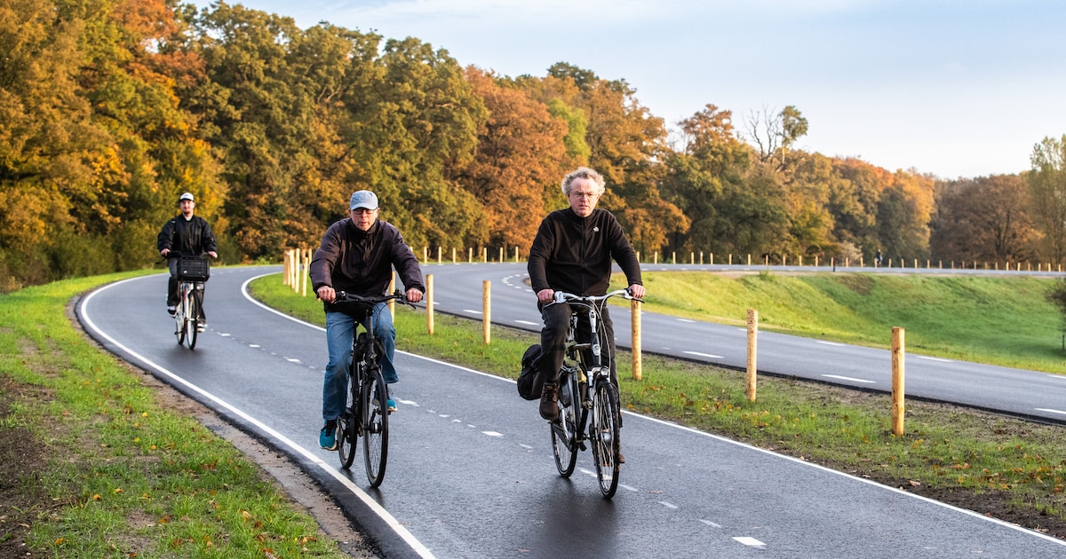 Deze drukke dijkweg bij Deventer is aangepakt: 'Auto's reden de vouwen uit je broek'