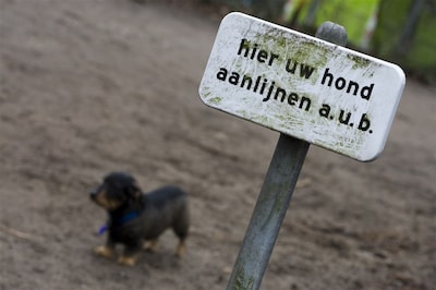 Lezers over aanlijnen van honden in natuurgebied: ‘Dan is het wel nodig dat er alternatieven zijn’